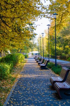 The tranquility of an autumn city park: benches, trees and a cozy atmosphere