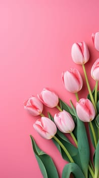 Pink tulips on the pink background. Flat lay, top view. Valentines background. Vertical AI