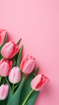 Pink tulips on the pink background. Flat lay, top view. Valentines background. Vertical AI