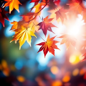 Fall Background with Colorful Leaves and Sunflares