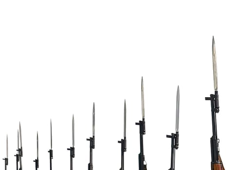 Bayonets on military rifles on a white background. Isolated photo of honor guard rifles.