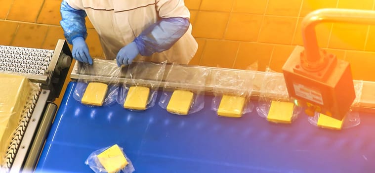 Two workers start making blocks of cheese in a factory. Worker on a cheese production line.