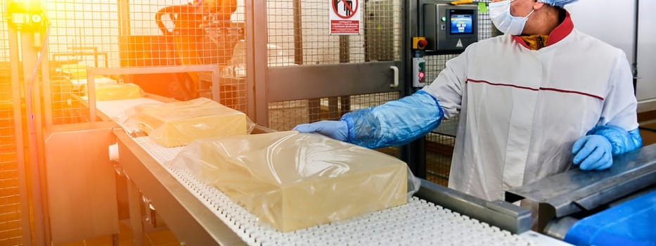 Two workers start making blocks of cheese in a factory. Worker on a cheese production line.