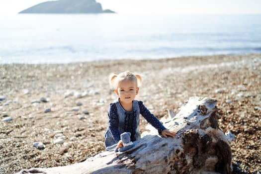 Little girl with a soft toy stands leaning on a snag on the seashore. High quality photo