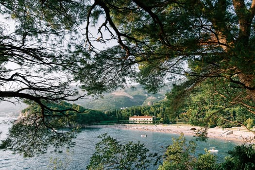 View through the green branches of trees to the beach at Villa Milocer at the foot of the mountains. High quality photo