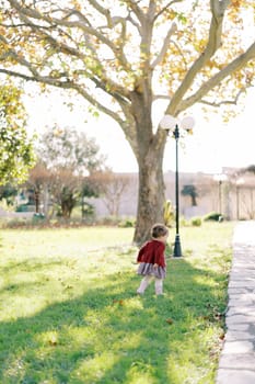 Little girl walks along a green lawn to a paved path. Back view. High quality photo