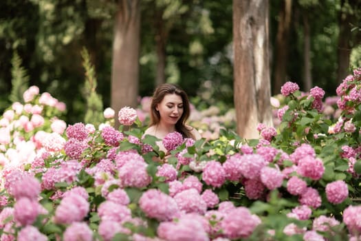 Hydrangeas Happy woman in pink dress amid hydrangeas. Large pink hydrangea caps surround woman. Sunny outdoor setting. Showcasing happy woman amid hydrangea bloom