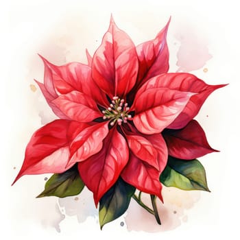 Christmas Poinsettia Joy: Festive Floral Illustration on Winter Watercolor Background