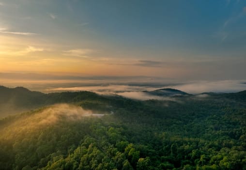 Beautiful green mountain landscape with morning sunrise sky and fog. Aerial view of green trees in tropical mountain forests and fog in winter. Nature scene of trees. Green environment background.