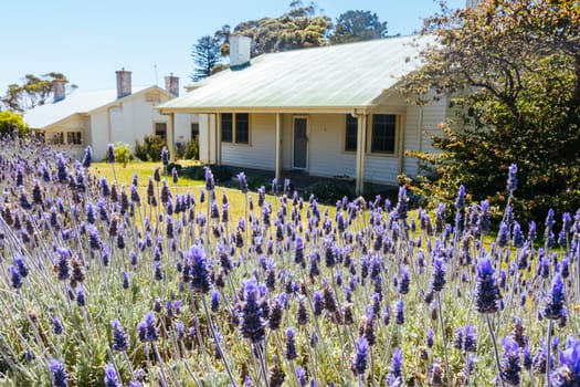 Buildings and surroundings in Police Point Shire Park near the famous Point Nepean Quarantine Station in Melbourne, Victoria, Australia