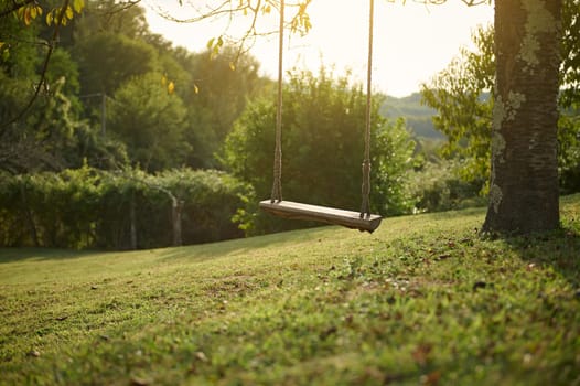 Still life with a simple wooden swing handing on the tree branch on the garden at sunset. Swing - play equipment against green grass background