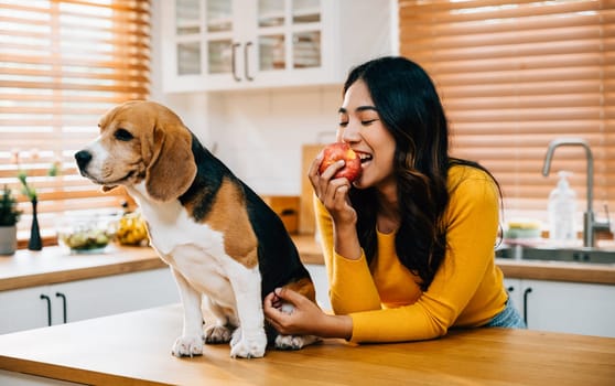 A red apple on the kitchen table becomes a symbol of togetherness as a woman and her retriever, her loyal companion, share it. Their joy and dedication as owner and pet shine. Pet love