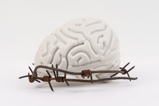 On a white background, a human brain surrounded by barbed wire. Symbol of prohibitions.