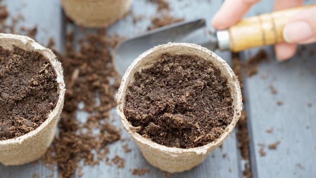 Close up of hand in yellow glove planting a seed in eco friendly biodegradable peat pots, top view, selective focus. Spring natural gardening, eco, plant care, organic product.