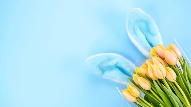 Fluffy blue bunny ears and yellow tulips flowers on blue background. Easter holiday concept. Space for text. Copy space. Top view, flat lay