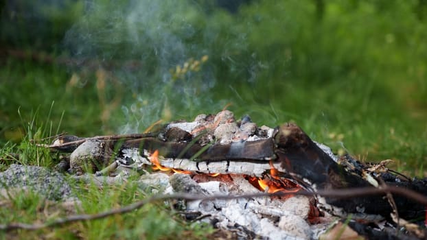 Red flames of teepee campfire on the ground at campsite in wild at overcast, closeup bonfire with firewood on backdrop, summer relax camping mood, low angle.