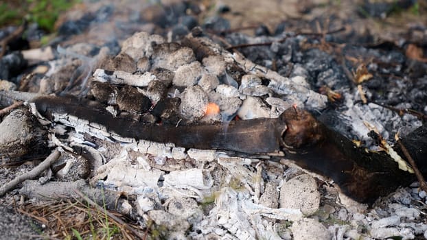 Red flames of teepee campfire on the ground at campsite in wild at overcast, closeup bonfire with firewood on backdrop, summer relax camping mood, low angle.