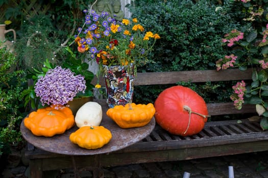Halloween decorated in a garden with various size and shape pumpkins in Europe