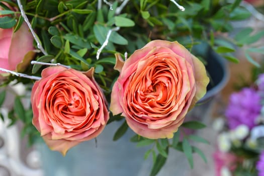 Pastel roses background, shallow depth of field. Retro vintage