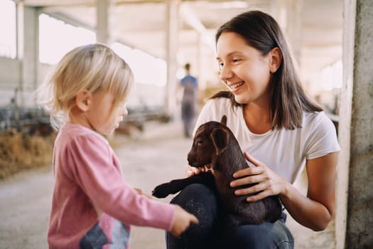 Little girl touches with her fingers a goatling in her mother arms on a farm. High quality photo