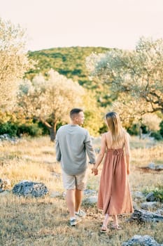 Man and woman walk holding hands through a green garden, looking at each other. Back view. High quality photo