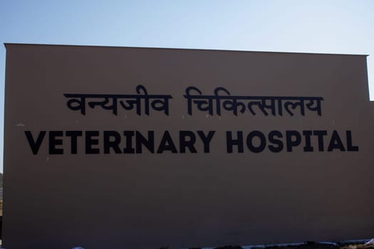 Uttarakhand's veterinary hospital, where compassionate care meets breathtaking natural beauty
