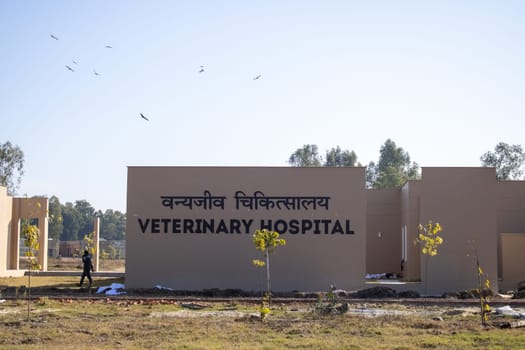 Uttarakhand's veterinary hospital, where compassionate care meets breathtaking natural beauty