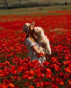 Field of poppies woman dog. Happy woman in a white dress and hat stand with her back through a blooming field of poppy with a white dog. Field of blooming poppies