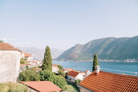 View of the Bay of Kotor over the red roofs of old houses surrounded by trees. Montenegro. High quality photo