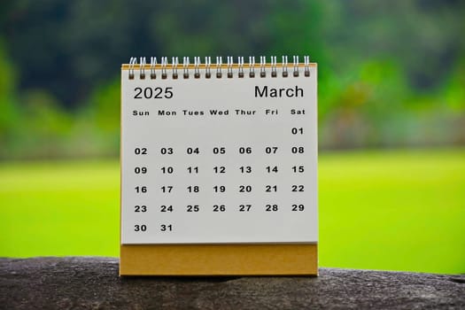 March 2025 white calendar with green blurred background - New year concept