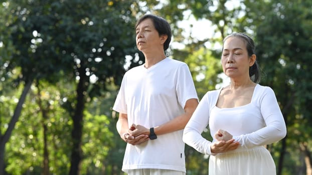 Image of peaceful senior couple doing Qi Gong or Tai Chi exercise in the summer park