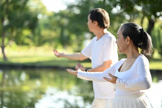 Beautiful Asian senior couple doing Tai Chi exercises in the park. Mental health and retired lifestyle concept.