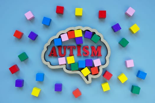 Wooden brain outline, colored cubes and the inscription autism.