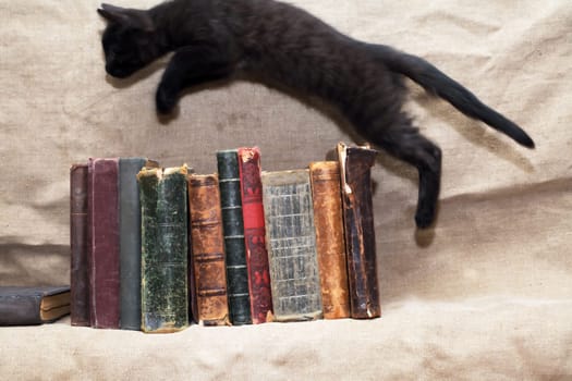 Small black kitten  jumps over a stack of books