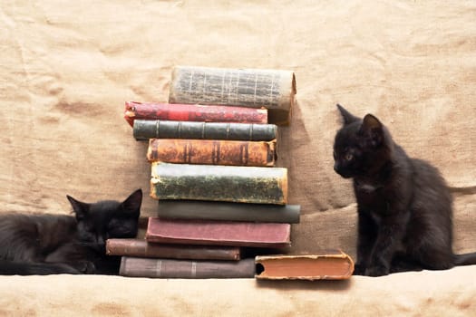 A pair of small black kittens near old books on canvas background