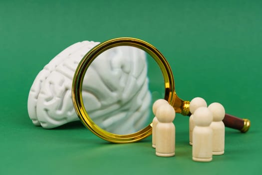 On a white background, a model of the brain, a magnifying glass and wooden human figures. Science and education concept.