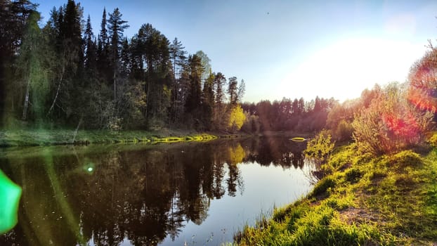 A pine forest with trees, trunks, water of a river or lake, illuminated by the summer, autumn, or spring evening sun. A beautiful natural landscape for a postcard or wallpaper