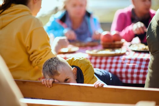 A family on a mountain vacation indulges in the pleasures of a healthy life, savoring traditional pie while surrounded by the breathtaking beauty of nature, fostering family bonds and embracing the vitality of their mountain retreat.