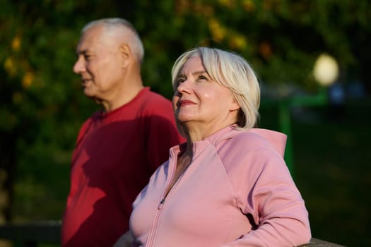 Elderly couple strolling through the breathtaking beauty of nature, maintaining their vitality and serenity, embracing the joys of a health-conscious and harmonious lifestyle.