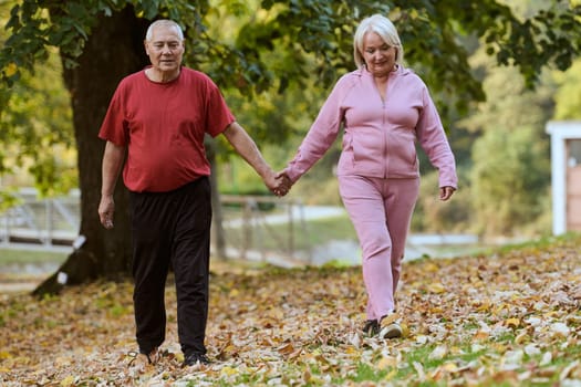 Elderly couple strolling through the breathtaking beauty of nature, maintaining their vitality and serenity, embracing the joys of a health-conscious and harmonious lifestyle.