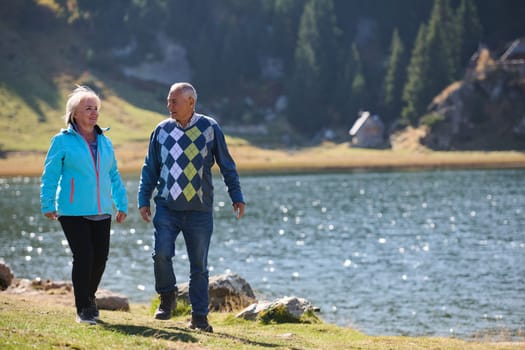 Elderly couple strolling through the breathtaking beauty of nature, maintaining their vitality and serenity, embracing the joys of a health-conscious and harmonious lifestyle.