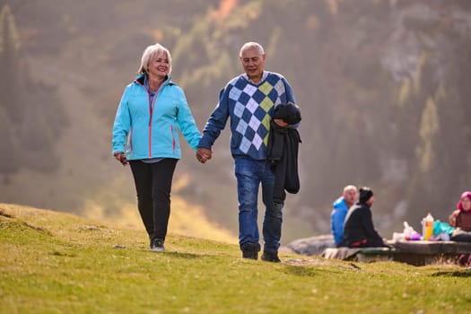 Elderly couple strolling through the breathtaking beauty of nature, maintaining their vitality and serenity, embracing the joys of a health-conscious and harmonious lifestyle.