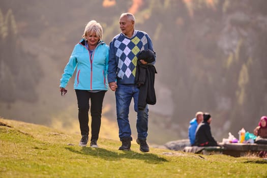 Elderly couple strolling through the breathtaking beauty of nature, maintaining their vitality and serenity, embracing the joys of a health-conscious and harmonious lifestyle.