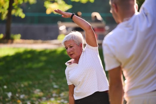 A group of seniors follows a trainer, engaging in outdoor exercises in the park, as they collectively strive to maintain vitality and well-being, embracing an active and health-conscious lifestyle in their later years.