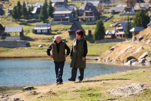 Elderly couple strolling through the breathtaking beauty of nature, maintaining their vitality and serenity, embracing the joys of a health-conscious and harmonious lifestyle.