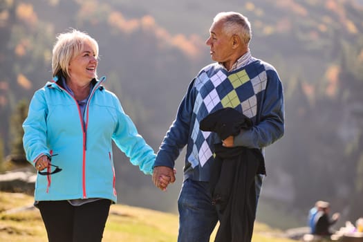 Elderly couple strolling through the breathtaking beauty of nature, maintaining their vitality and serenity, embracing the joys of a health-conscious and harmonious lifestyle.