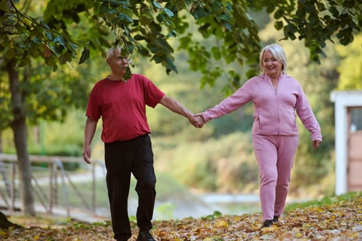 Elderly couple strolling through the breathtaking beauty of nature, maintaining their vitality and serenity, embracing the joys of a health-conscious and harmonious lifestyle.