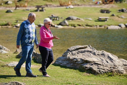 Elderly couple strolling through the breathtaking beauty of nature, maintaining their vitality and serenity, embracing the joys of a health-conscious and harmonious lifestyle.