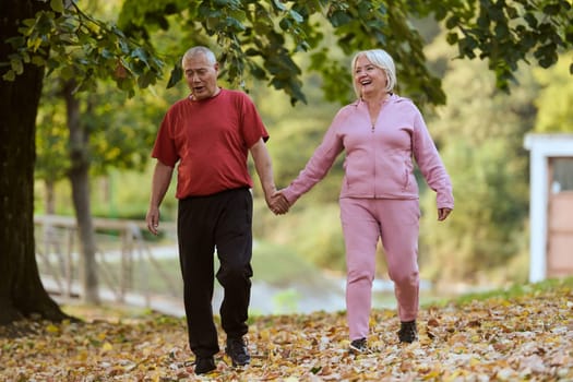 Elderly couple strolling through the breathtaking beauty of nature, maintaining their vitality and serenity, embracing the joys of a health-conscious and harmonious lifestyle.