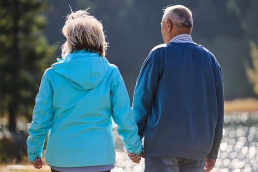 Elderly couple strolling through the breathtaking beauty of nature, maintaining their vitality and serenity, embracing the joys of a health-conscious and harmonious lifestyle.